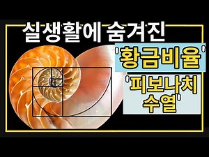 실생활에 숨겨진 신기한 '황금비율’- 황금나선, 피보나치수열