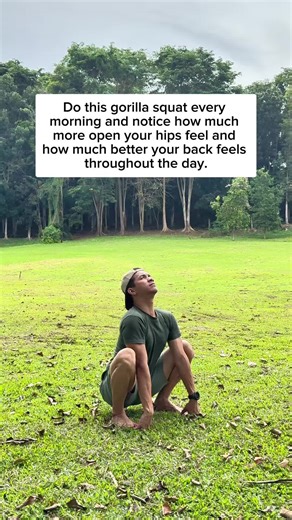 Effective Back Stretches for Pain Relief and Mobility