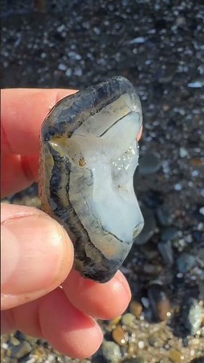 "Amazing Agates & Fossils Discovered on Lake Superior Shore!"#youtubeshorts