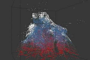 Coral Growth Simulation