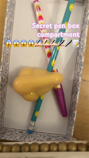 Secret pen box compartment ￼