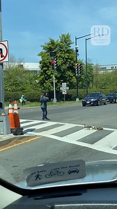 95K views · 289 reactions | Morning commutes are tough even for Duck-Moms! | Reader's Digest | Facebook