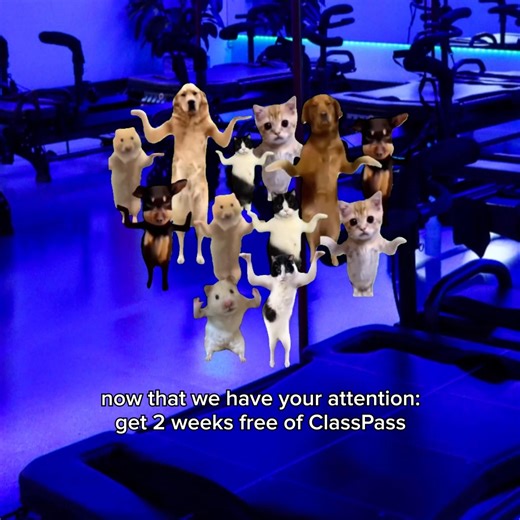 You'll be dancing too when you get your free trial. Get 2 weeks free today! | ClassPass | Facebook