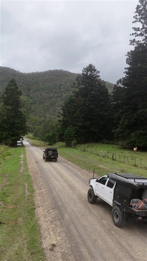 Camping Food Ideas for Off-Grid Adventures