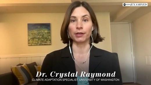 How climate change and forest management make wildfires harder to contain