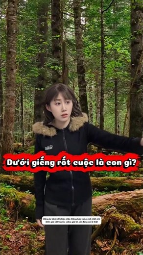 Strange creatures that don't belong on Earth #shortvideo #discovery