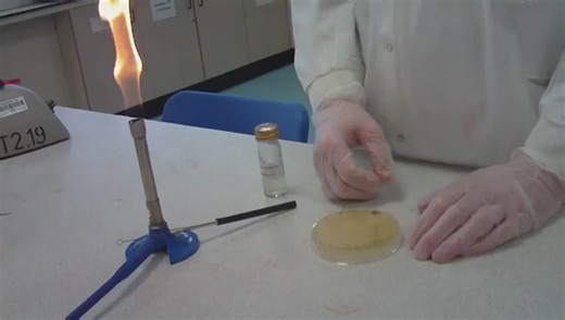 Aseptic Technique: Principles and Applications | ACHINT TIWARI posted on the topic | LinkedIn