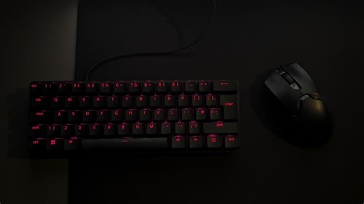 Razer Huntsman Mini and Viper Ultimate Overview