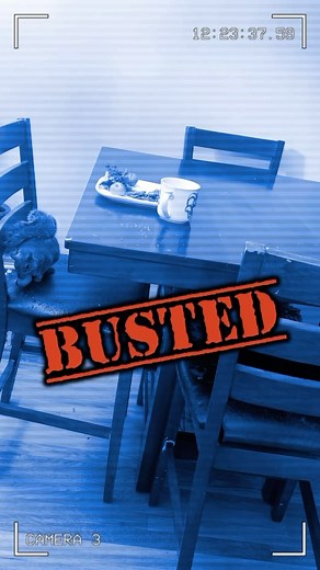 We were wondering why Thumbelina kept INSISTING we leave walnuts out for the ‘reindeer’ 🧐 #busted #caught #thumbelinacam #wellifnoonesgoingtoeatthesewalnuts #tinygremlin #stealingsantassnacks #flashback #littlethumbelinagirl #lifewiththumbelina #teamthumbelina | Little Thumbelina Girl