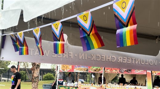 ‘It’s about community’: Virginia Pridefest celebrates unity, visibility in Richmond