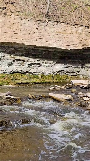 You don't have to go far from campus to find GB fun! 🙌 What's your favorite spot nearby? P.S. Bay Beach Amusement Park opens for the season TODAY! 🎢 #lifeatuwgb #greenbaywi | UW-Green Bay