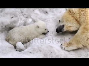 My Baby Prodigy Remake 1