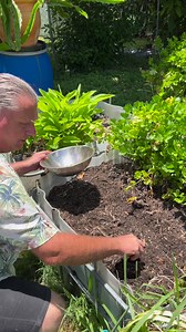 585K views · 16K reactions | Season Seed Sowing EP 2 #seedsowing #permaculture #sustainability #sustainableliving #permaculturedesign #growyourownfood #greenthumb #sustainableagriculture #ecofriendly #organicfarming #regenerativefarming #permaculturecourse #permaculturelife #permacultureaustralia #savoursoul #backyardgarden #gogreen #savoursoil #somethingfromnothing #makingitreal #rentalpermaculture | Savour Soil Permaculture | Facebook