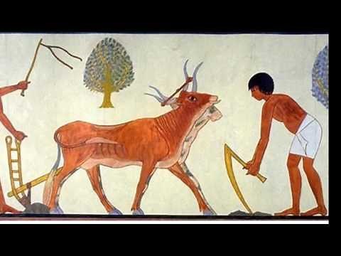 The Fertile Crescent