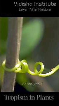 TENDRILS TROPISM | CLIMBERS IN BIOLOGY