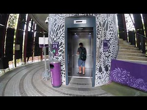 Singapore's Supertree Grove @ Gardens by the Bay - 4K