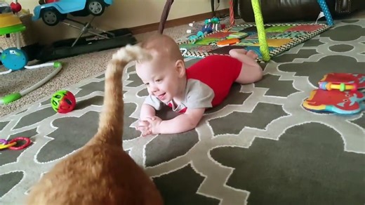 Baby with animals funny compilation - Funny Baby Video (part 1)