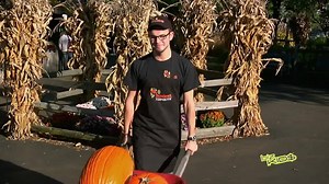 15K views · 52 reactions | In celebration of #PumpkinSpice season, we're taking you to a pumpkin farm to meet the Biz Kid who keeps customers fed and happy. Sorry, no #PSL here. | Biz Kid$ | Facebook