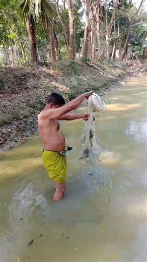 How to catch fish with a gill net 🐬😱#fishing #youtubeshorts