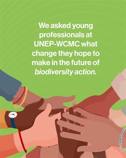 💬“Ensuring that no single voice dominates in biodiversity conservation”💡 Meet Guillemette Gandon, Associate Programme Officer in UNEP-WCMC's Nature-based Solutions team. Guillemette contributes to a portfolio of our work exploring how nature can help address societal challenges such as climate change, biodiversity loss, and environmental justice. As #YouthForBiodiversity, Guillemette wants to ensure that biodiversity actions are more equitable, and respect and value diverse perspectives. Inspi