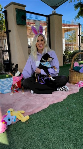 4.5K views · 124 reactions | PETS OF THE WEEK: Millie  and Corky ...