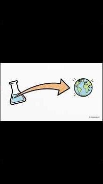 What Is Precision Fermentation?