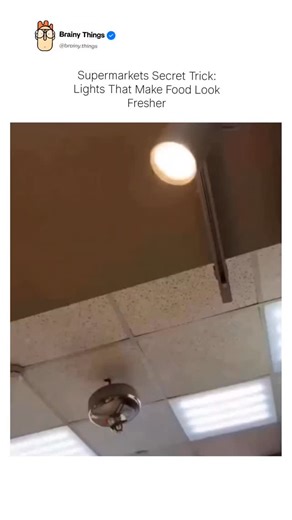 Brainy things | Supermarkets Secret Trick: Lights That Make Food Look Fresher Stores don’t just display fruits and vegetables — they engineer how you see... | Instagram