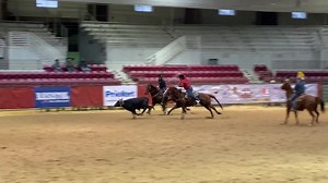 Here roping in my old stomping grounds at the JX2 and NTRL Team Roping Finals with my old partner, Brad Culpepper. We were able to draw a check in the Open. | Speed Williams Team Roping