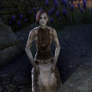 Online:Bala - UESP Wiki - The Unofficial Elder Scrolls Pages