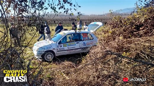 Rally CRASH!! 💥 Prealpi Master Show 2025 Renault Clio Williams Nicola Montagna - Marco Spagnolo 🎥 JacoRally | Chopito Rally