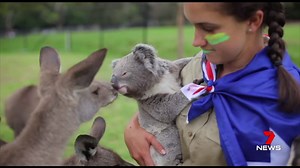 178K views · 4.6K reactions | WATCH: The adorable moment a koala and...