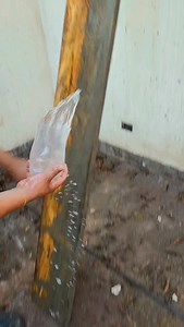 3.1K reactions · 308 shares | #construccion #reels Jaja puchica men 藍藍#humor #albañileria #reels | Construccion 503 edits | Facebook