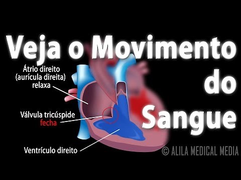 Path of Blood Flow through the Heart, Animation. Alila Medical Media Portuguese.