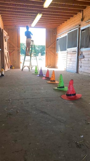 ✨✨ The barn is getting a magical makeover with witches hats, twinkling lights, and pumpkins galore! 慄‍♀ | Party at the barn | Facebook