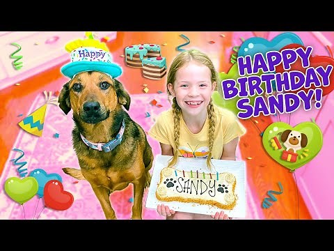 Our Dog's Birthday Party !!!
