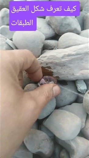 How to Know the Shape of Layered Garnets
