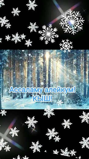 Mesmerizing Snowflakes Falling in a Winter Wonderland