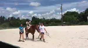 James is starting to get the hang of this hippotherapy thing. had a great session today. Oh and it's 100° outside where he has to wear long pants and a hat while he rides. | Turtle Power for James Edwards