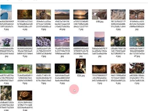 rename批量修改文件名？批量修改文件名ren bat？批量重命名文件？