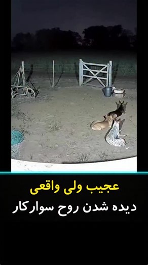 ‎🚫حقایق ناشناخته جهان🚫‎ on Instagram‎: "شب در سکوت مطلق جنگل، شاهدان می‌گویند موجودی دیده‌اند که هیچ شباهتی به انسان یا حیوان ندارد 👁‍🗨 روحی آتشین، سوار بر اسب شعله‌ور، با سرعتی غیرقابل تصور از میان درختان عبور می‌کند 🔥🐎 چشمانش نورانی و نگاهش نافذ بود، و هر گام اسب، زمین را لرزان می‌کرد و باد شدیدی اطراف پراکنده می‌شد 💨 افرادی که صحنه را دیده‌اند، می‌گویند صداهای غیرطبیعی همراه با حس سنگینی هوا تجربه کردند 🌌 کارشناسان ماورایی معتقدند این موجود ممکن است نگهبان یا پیام‌آور جهان‌های دیگر با