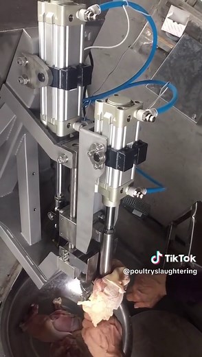 Maximize Efficiency with the DTG01 Deboning Machine