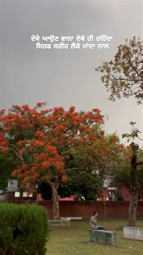 escapismdrafts | #punjabiuniversitypatiala #trendingreels #instagram #patiala . "Please do not use our writing without permission. If you would like to... | Instagram