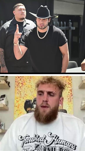 Jake Paul ranks cruiserweight world champions 👑 | Sun Sport