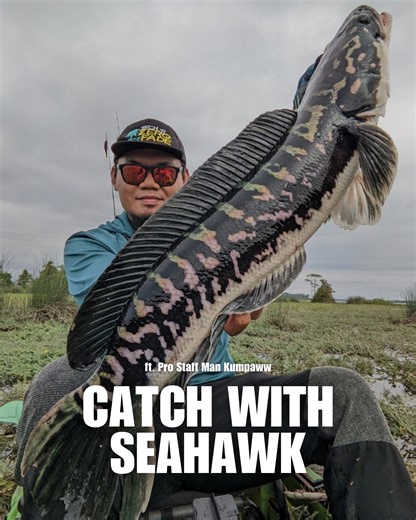 #CatchWithSeahawk - With the right gears, everything jadi senang. Heavy cover ke apa pun ~ bukan masalah 🎣 SETUP ✅ Rod: Team Seahawk Masterpiece ✅ Reel: Team Seahawk Xeon Combat SW ✅ Line: Seahawk SOL X8 ✅ Leader: Seahawk Noro Ultimate 📸: Pro Staff Man Kumpaww Get your Team Seahawk gears today at Seahawk’s Official Dealers (Online & In-store) #CatchWithSeahawk #TeamSeahawk #SeahawkFishing #TeamSeahawkXeonCombatSW #TeamSeahawkMasterpiece #HeavyCoverFishing | Team Seahawk Fishing