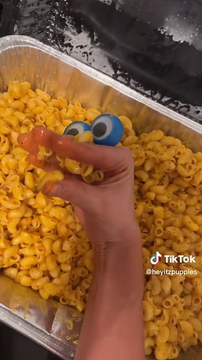 Delicious Homemade Mac and Cheese Recipe Tutorial