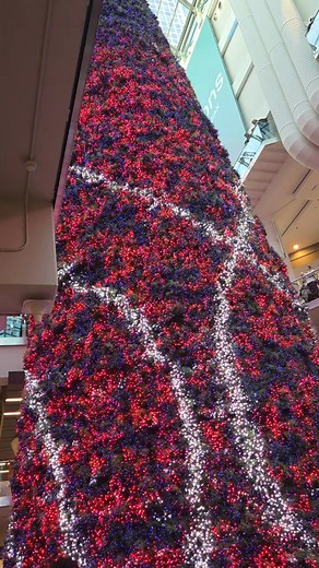 1.3K views · 23 reactions | Christmas tree light show at Torontos Eaton Centre. So beautiful #christmas #christmastree #toronto | Rachel Schaaf | Facebook