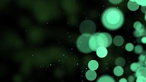 Particles, Bokeh, Lights. Free Stock Video