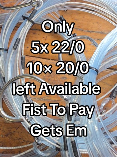 Last Chance for Bull Shark Fishing Gear Deals