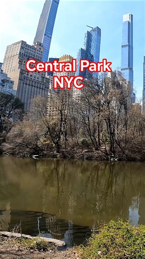 Central Park NYC Walking Tour | Nature in the Middle of the City #newyork #nyc