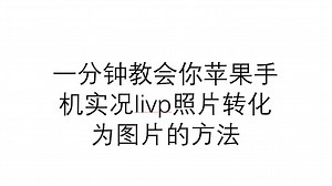 livp格式批量转化图片的方法